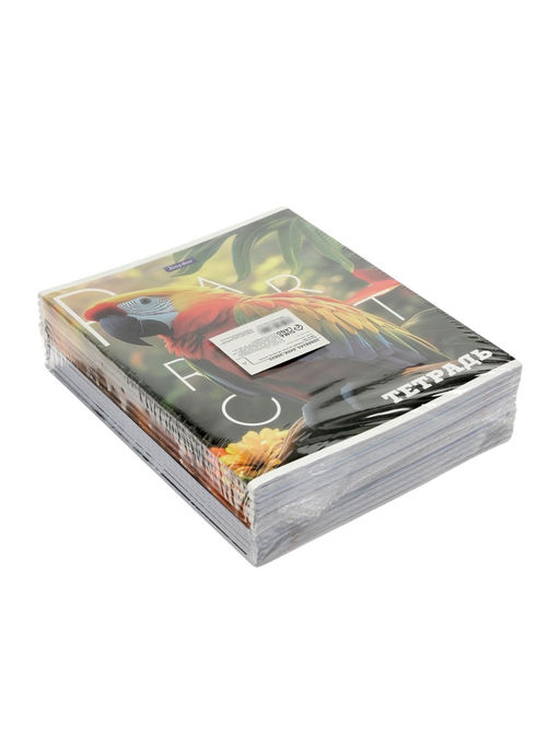 Комплект 12 тетрадей, 48 листов, клетка, 60гр, 4 вида, Животные