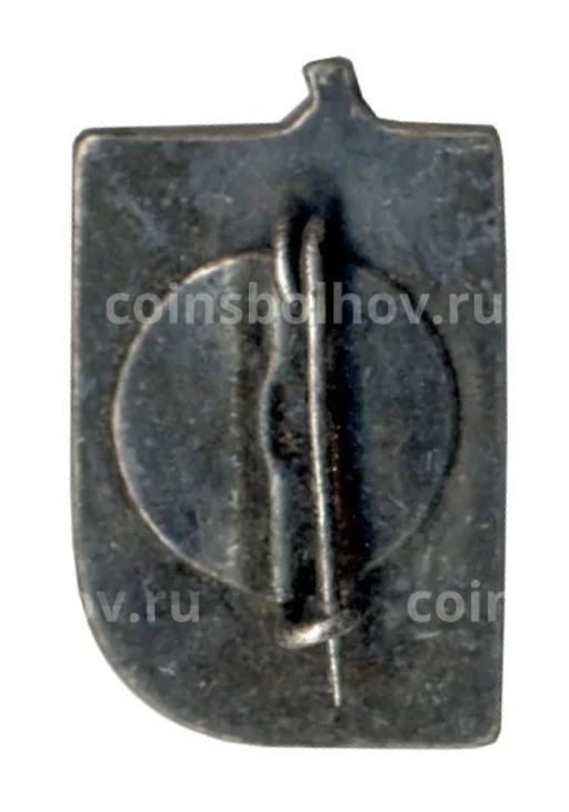 Значок Кострома