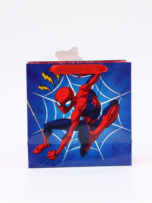 Цена за 2 шт. Пакет подарочный «Супергерой», 22 × 22 × 10 см