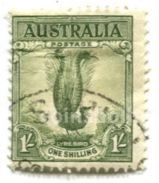 Марка Павлин Австралия