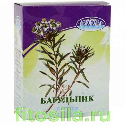 Багульник, побеги, 50 г (коробочка), чайный напиток