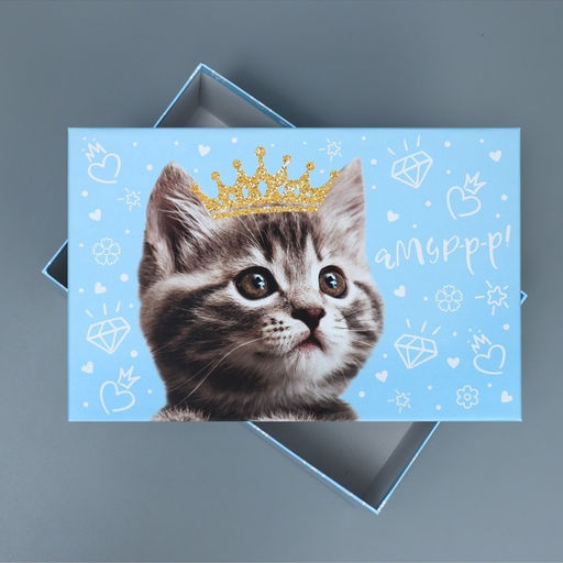 Набор коробок 10 в 1, упаковка подарочная, Яркий, 12?7?4 - 32.5?20?12.5 см