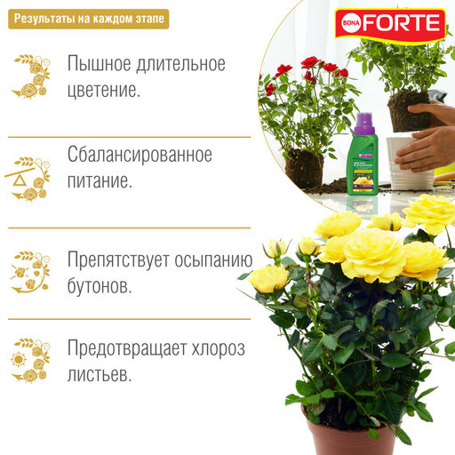 Компл. орг.-мин. удобр. "Bona Forte Здоровье" Для роз и хризантем фл.285мл