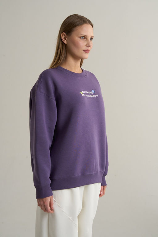 Свитшот Темно-сиреневый ANTA SKATE Sweatshirt  фото 2