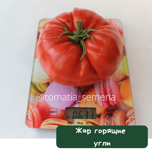 Жар горящие угли - Tomatia фото 3