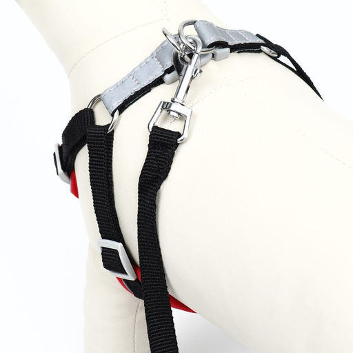 Комплект Sport+, L, поводок 120 х 1,5 см, ОШ 49-56 см, ОГ 56-68 см, вес животного 20-28 кг, чёрный - Пижон фото 4