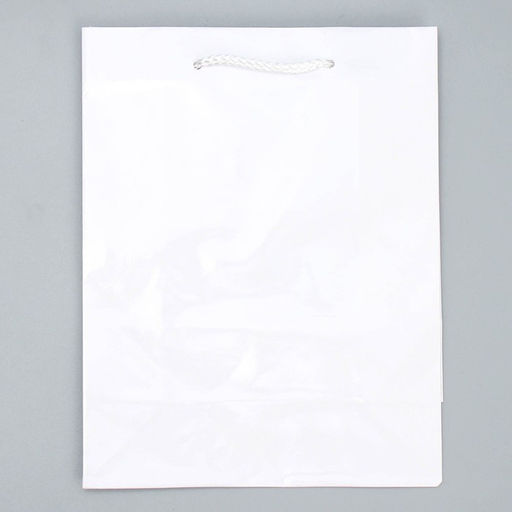 Цена за 2 шт. Пакет подарочный ламинированный, упаковка, «Белый», MS 18 х 23 х 8 см