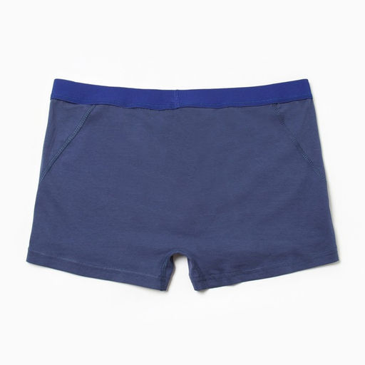 Трусы мужские боксеры, цвет синий, размер 48