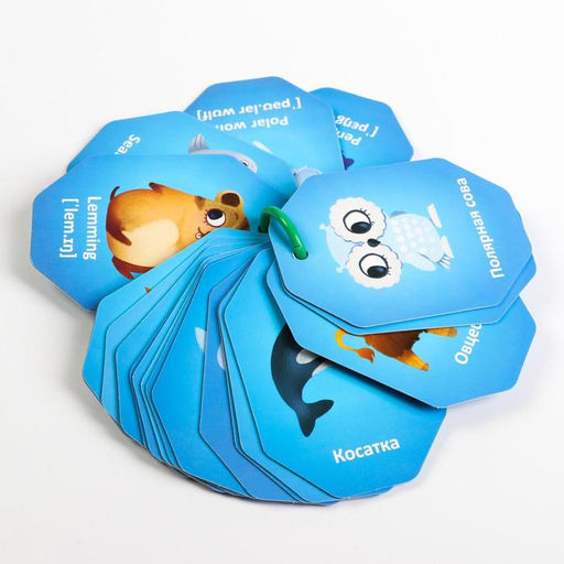 Карточки на кольце для изучения английского языка Животные полюсов, 3+ - Лас играс фото 2