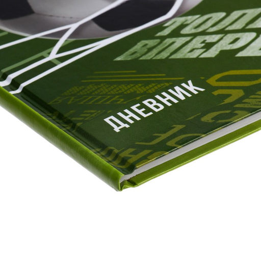 Цена за 2 шт. Дневник универсальный для 1-11 классов, «Футбол», твердая обложка 7БЦ, глянцевая ламинация, 40 листов