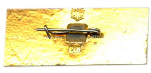 Значок Кострома