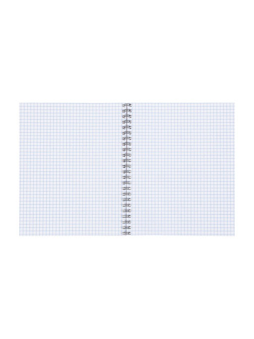 Набор тетрадей Calligrata. Capy, 3 штуки, 80 листов, на гребне, обложка из мелованного кратона