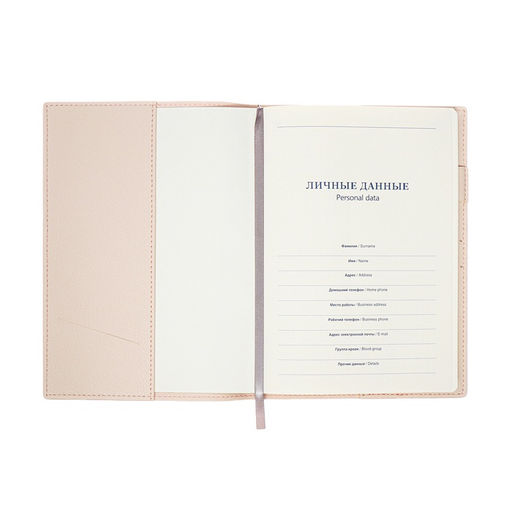 Ежедневник недатированный Бизнес, А5, в клетку, 128 листов, обложка кожзам, с боковой закладкой, бежевый - Simaland фото 2