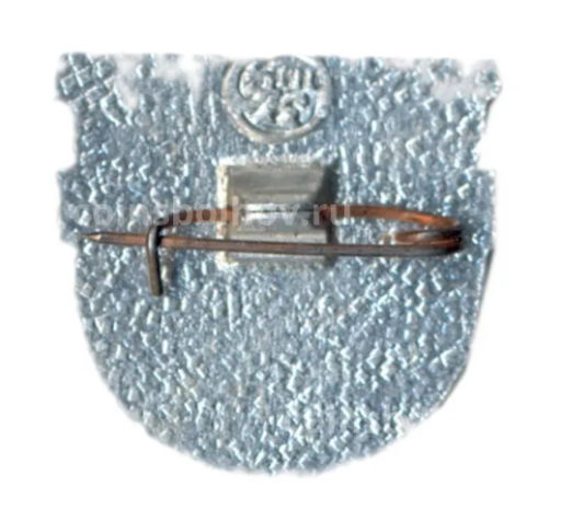 Значок ВНИИ НМ