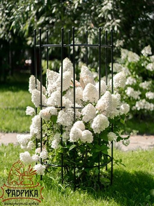 Опора для садовых растений из металла 58-924B - Фабрика интерьерной ковки фото 4