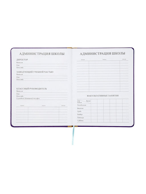 Дневник школьный 1-11 класс, лассе, обложка искуственная кожа, с резинкой для ручки