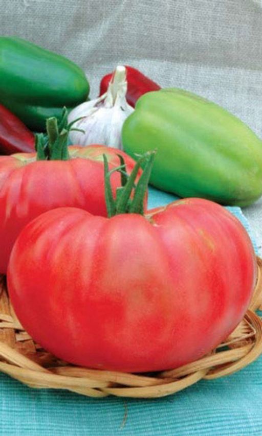 Томат РОЗОВЫЙ ГИГАНТ