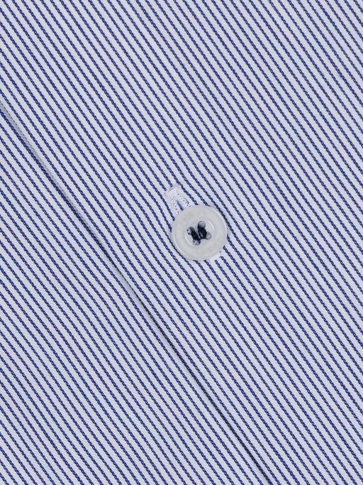 Сорочка мужская длинный рукав GREG 211/239/0085/ZV/1p  фото 2