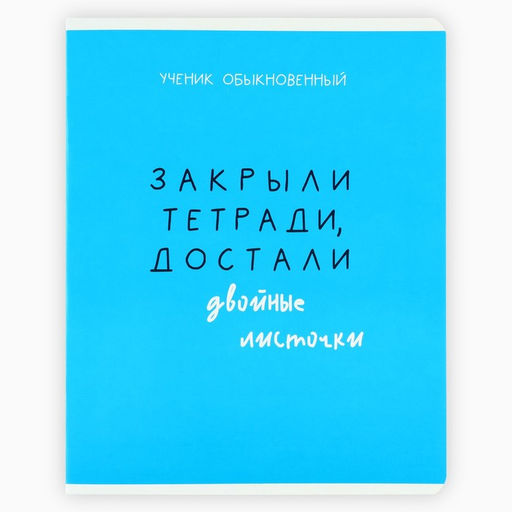 Цена за 5 шт. Тетрадь в клетку, 48 л., А5, на скрепке, блок №2 Типичный ученик, твин лак, уф лак, МИКС - Artfox study фото 6