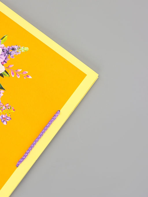 Цена за 2 шт. Пакет подарочный ламинированный вертикальный Яркое настроение, 26?12?32 см