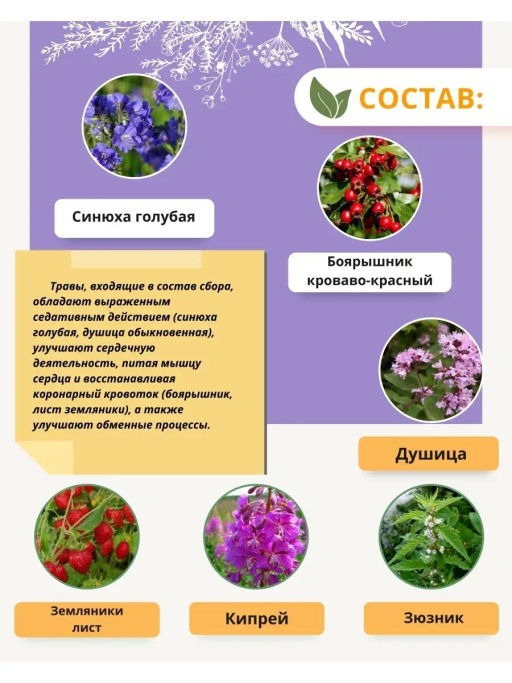 БАД Капсулы Анти-стресс Алфит 3468  фото 6