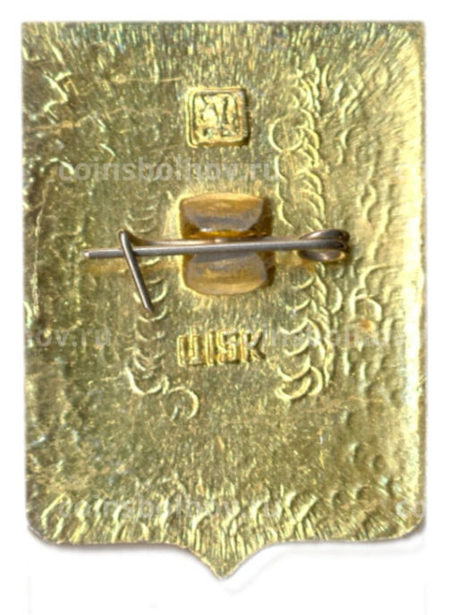 Значок Боровичи