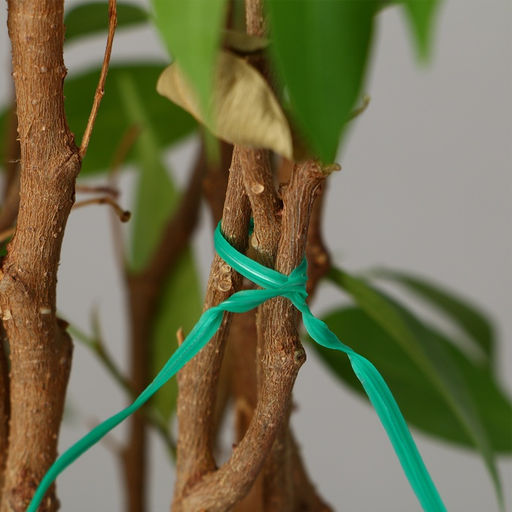 Цена за 2 шт. Проволока подвязочная, 20 см, в наборе 100 шт., зелёная, Greengo фото 7