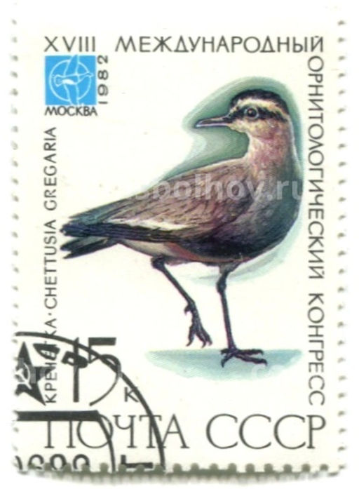 Марка XVII Международный орнитологический конгресс Кречетка 1982 год