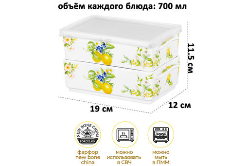Набор 2 блюд д/холодца 700 мл 19*12*11,5 см Лимоны NEW BONE CHINA - Elan gallery фото 2