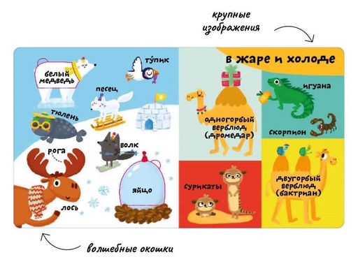 Мои первые 100 слов с окошками. Такие разные животные - Робинс фото 2