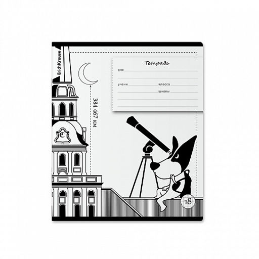 Цена за 10 шт. Тетрадь школьная ученическая ErichKrause Путешественник, 18 листов, клетка (в плёнке по 10 шт.)_MIX-PACK  фото 6