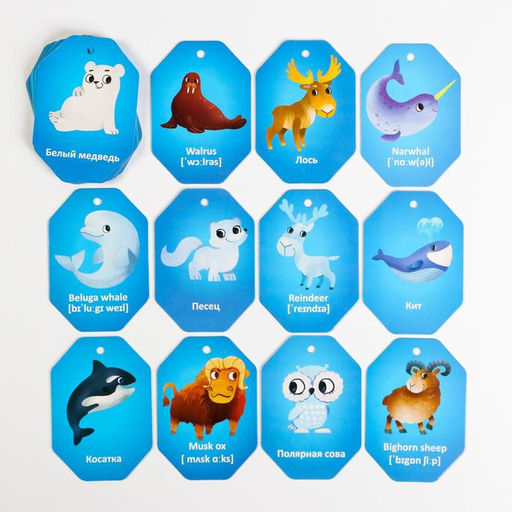 Карточки на кольце для изучения английского языка Животные полюсов, 3+ - Лас играс фото 3