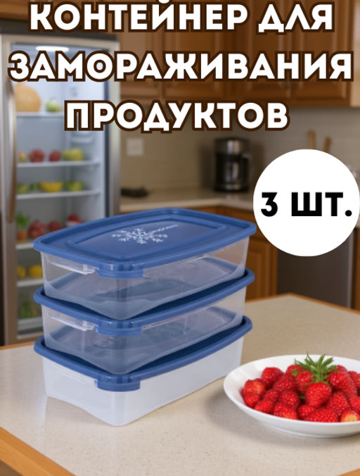 Контейнер для замораживание продуктов Морозко набор 3 шт: 0,7л, 18,5х12х8,5см, пластмассовый (Россия)