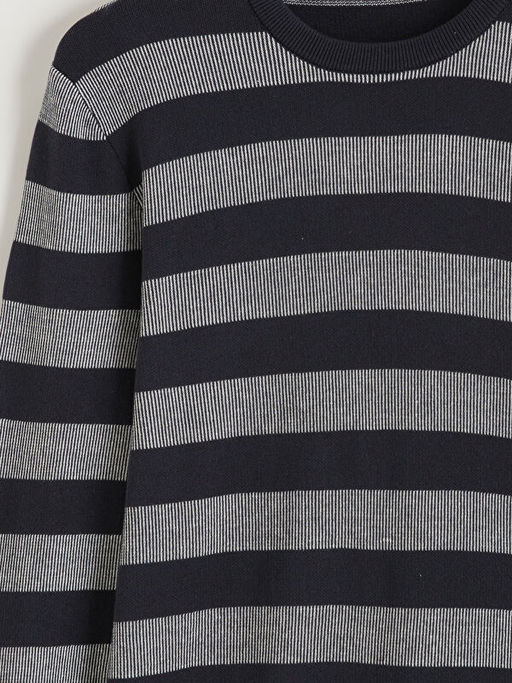 Bisiklet Yaka ?izgili Erkek Triko Kazak