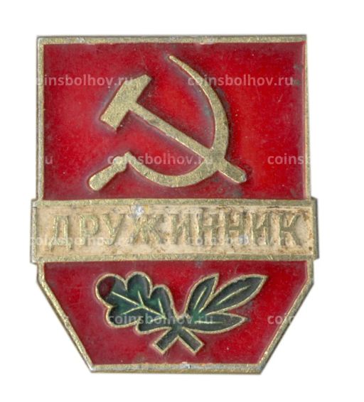 Значок Дружинник