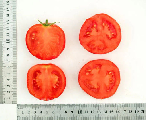 Томат Верочка - Партнер фото 5