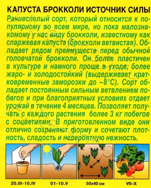 Капуста брокколи Источник силы 0,3г (Аэлита)
