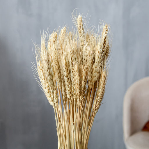 Сухой колос пшеницы, набор 50 шт., цвет белый - Simaland фото 2