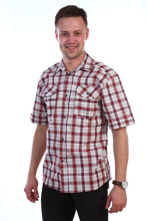 Р4а Сорочка мужская шотланка кор. рукав гигант