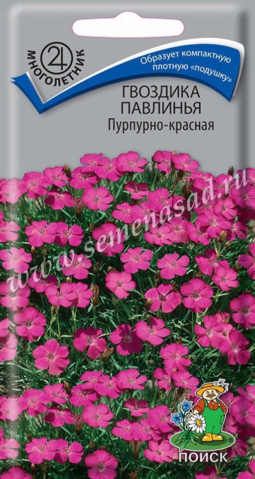 Гвоздика Павлинья Пурпурно-красная (ЦВ) ("М) 0,05гр