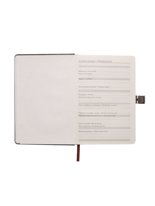 Ежедневник недатированный А5, 80 листов, обложка ПВХ, с хлястиком, чёрный