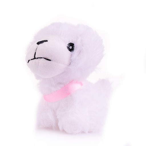 Игровой набор "Питомец" в коробке