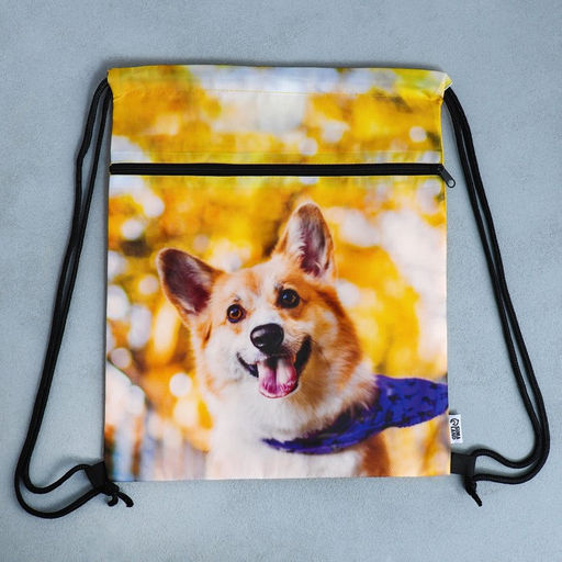 Сумка для обуви Забавный корги, 2 секции, 41х31 см - Artfox study фото 8