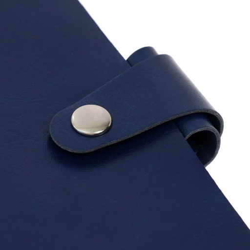 Дневник школьный для 1-11 классов Favorite, мягкая обложка, на кнопке, искусственная кожа, тиснение фольгой, хлястик, ляссе, 48 листов