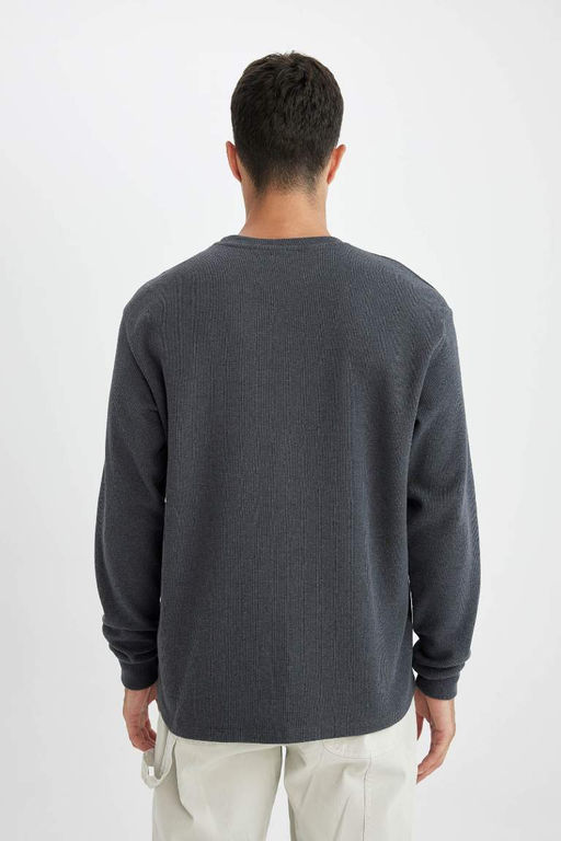 Футболка стандартного кроя с круглым вырезом и длинными рукавами вафельного цвета - Defacto фото 6