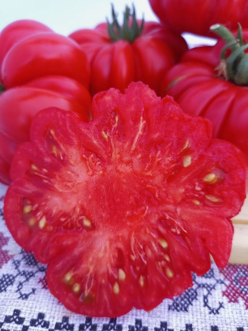 Томат ЖЕНСКАЯ ДОЛЯ F1 - Уральский дачник фото 4