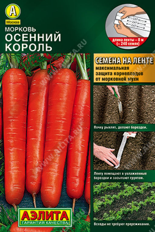 НА ЛЕНТЕ Морковь Осенний король
