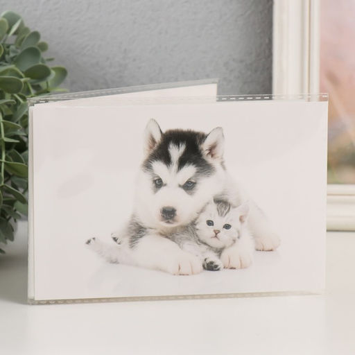 Цена за 3 шт. Фотоальбом на 36 фото 10×15 см «Щенок с котёнком»