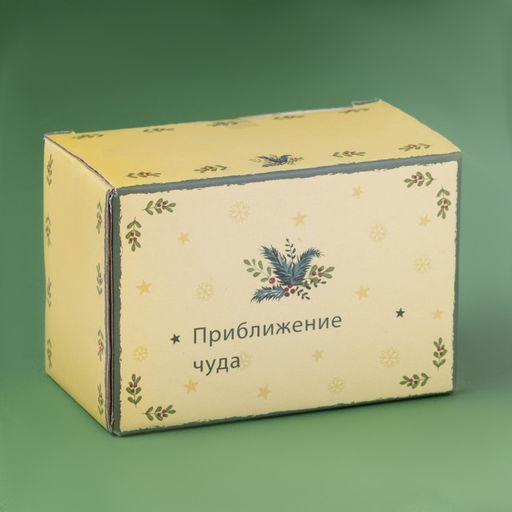 Набор для специй новогодний Доляна Приближение чуда, 3 предмета: солонка 80 мл, перечница 80 мл, подставка, доломит, белый