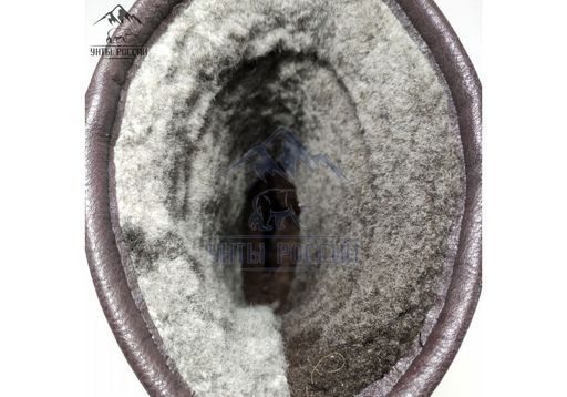 Сапоги мужские Сибирь, коричневые, литая подошва